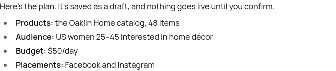The agent's plan: products from the Oaklin Home catalog, US women 25–45 interested in home décor, $50 a day, Facebook and Instagram